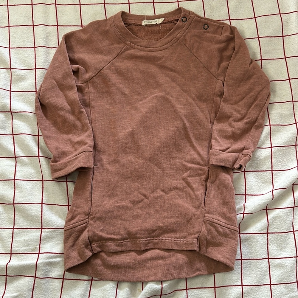 Phil & Phae Sweatshirt Dress in Rose